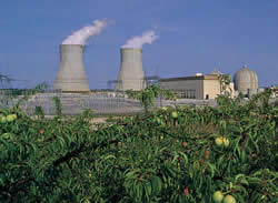 Alvin W. Vogtle Nuclear Power Plant
Keywords: Alvin W. Vogtle Nuclear Power Plant