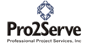 Professional Project Services