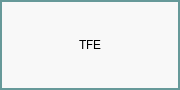 TFE, Inc.