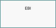 Electrical Builders Industries LLC