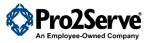 Professional Project Services