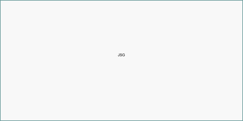 Johnson Services Group