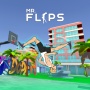 Mr Flip