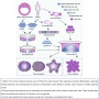 Normal Tissue-derived Organoid Culture Kits