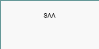 SAA