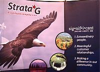 Strata-G.jpg