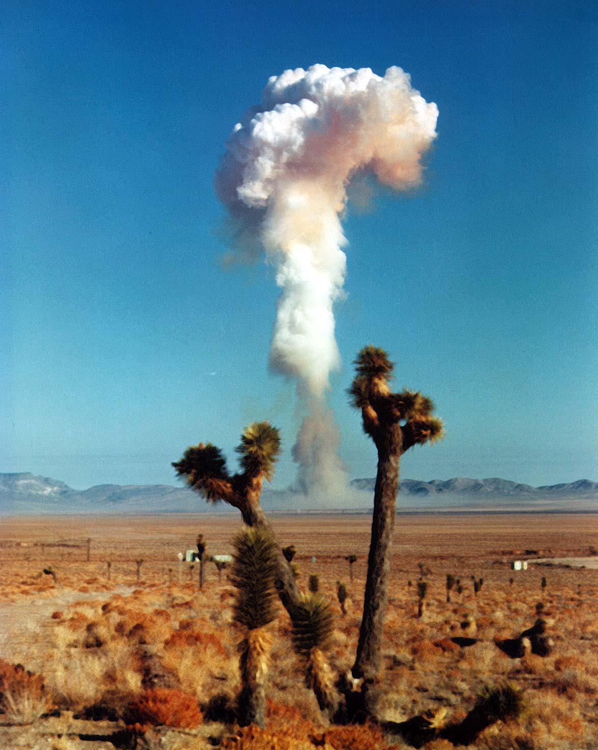 DeBACA
DeBACA was a balloon burst fired October 26, 1958. Since July 1962, all NTS weapons tests have been underground.

De Baca was part of the Hardtack II Operation. Number 186 at 2.2kt. 
Keywords: Nevada Test Site, Mercury, Nye County, Nevada NTS