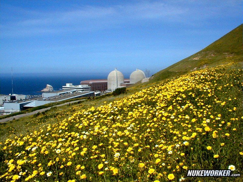 Spring wildflowers at the Diablo Canyon nuclear power plant
Photo Diablo Canyon nuclear power plant courtesy of Jim Zimmerlin of Pacific Gas & Electric Company, Avila Beach, California.
http://www.zimfamilycockers.com/DiabloCanyon.html
Keywords: Diablo Canyon Nuclear Power Plant