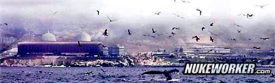 Diablo Canyon Whales
Keywords: Diablo Canyon Nuclear Power Plant