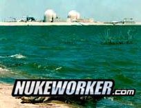Al E Gator
Keywords: South Texas Project Nuclear Power Plant STP