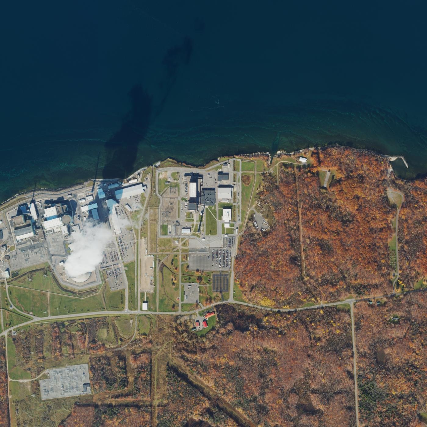 FitzPatrick (aerial imagery)
Keywords: FitzPatrick; aerial; NAIP