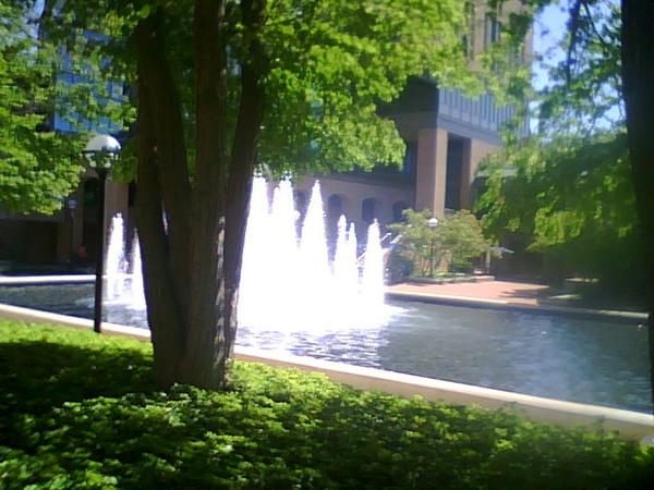 The Wishing Fountain
