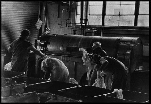 Laundry
Each day Fernald's on-site laundry washes all the protective cotton work-suits of its 1,000 employees to rid the clothing of uranium dust. Laundry water must be specially treated because of its uranium content. In December 1984, a special Oak Ridge Task Force reported to the U.S. Congress that the Fernald Feed Materials Production Center had, during its more than 30 years of process operations, released a total of 374,000 pounds of uranium dust into the air and water around the site, and that another 720, 000 pounds of uranium remained unaccounted for. 

Feed Materials Production Center, Fernald, Ohio. December 16, 1985. 
Keywords: Fernald Green Salt Plant, Feed Materials Production Center, Fernald, Ohio (FEMP)