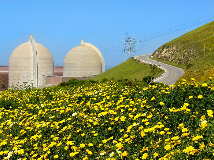 An April 2004 photo of wildflowers at the Diablo Canyon site
Photo Diablo Canyon nuclear power plant courtesy of Jim Zimmerlin of Pacific Gas & Electric Company, Avila Beach, California.
http://www.zimfamilycockers.com/DiabloCanyon.html
Keywords: Diablo Canyon Nuclear Power Plant