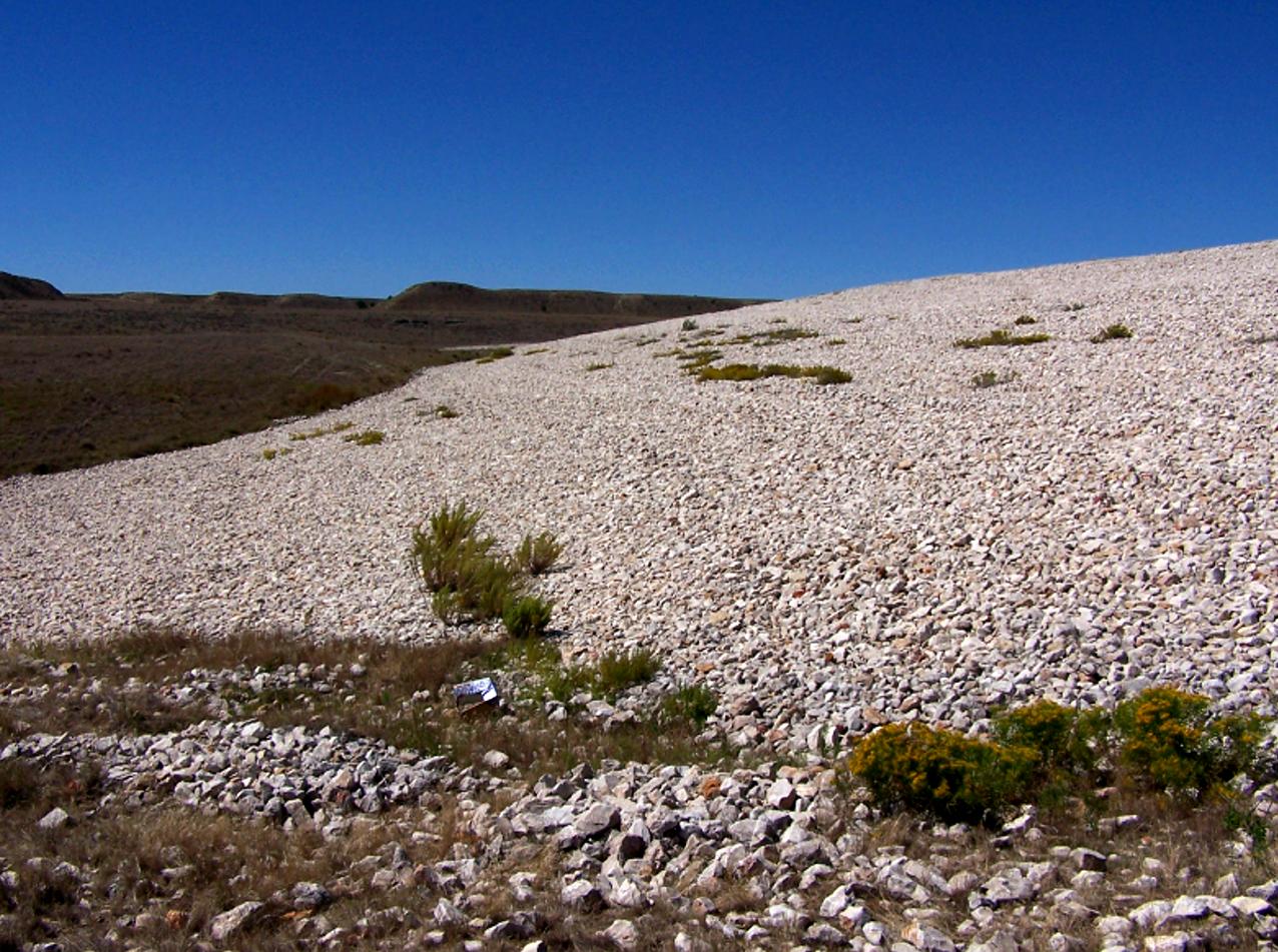 Vegetation on the Edgemont embankment face.
