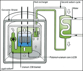 FBR
The Fast Breeder Reactor (FBR) has a core of plutonium surrounded by rods of U-238. The U-238 nuclei absorb neutrons from the core and are transformed into plutonium (P-239). For every four atoms of plutonium that are used up in the core of the breeder, five new plutonium atoms are made from the U-238. Therefore, FBRs "breed" plutonium. Fast breeder reactors work at such a high temperature that they need a special coolant such as liquid sodium. In addition, they are not equipped with a moderator to slow down neutrons, and for this reason are called "fast" breeders.
