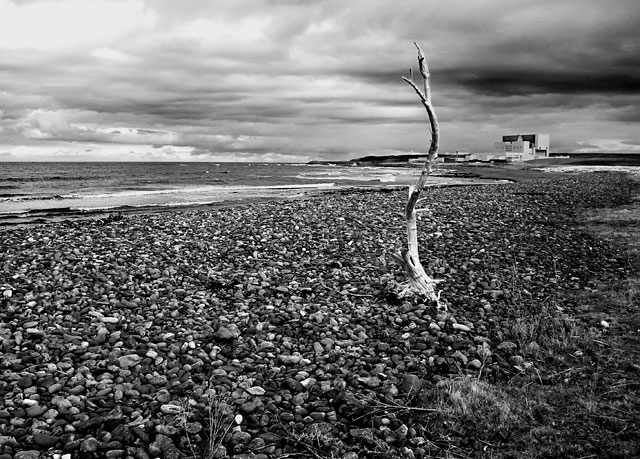 Torness
Walking towards Torness Nuclear Power Station, we see a bizarre piece of driftwood on the beach. It was washed in from the sea, surely, but it must have been human intervention that placed it upright.
Keywords: Torness Scotland UK