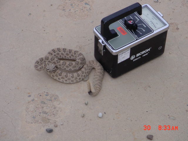 No....YOU pick it up!
It happens.  Not often, but often enough.
Keywords: Sandia National Lab SNL