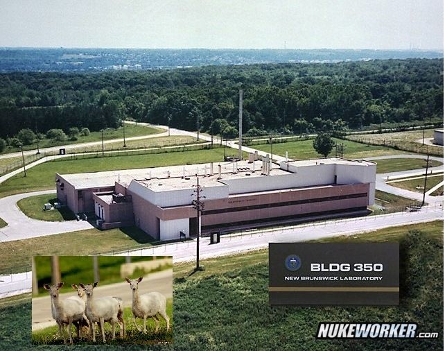 NBL_building_with_sign_and_deer.jpg