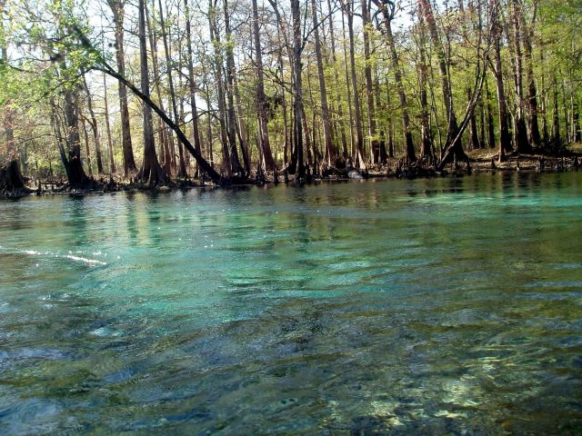 Ginnie Springs Florida
