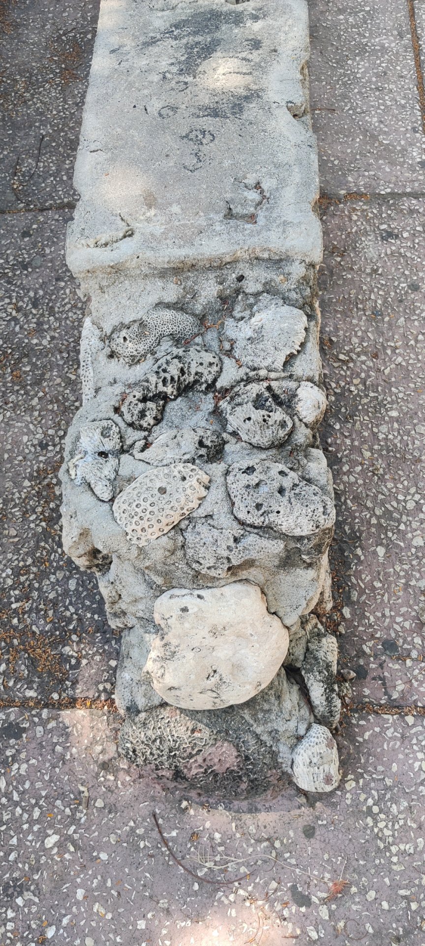 Click to view full size image
==============
Ciudad Nuclear-076
Keywords: Juragua Ciudad Nuclear-076
Keywords: Juragua