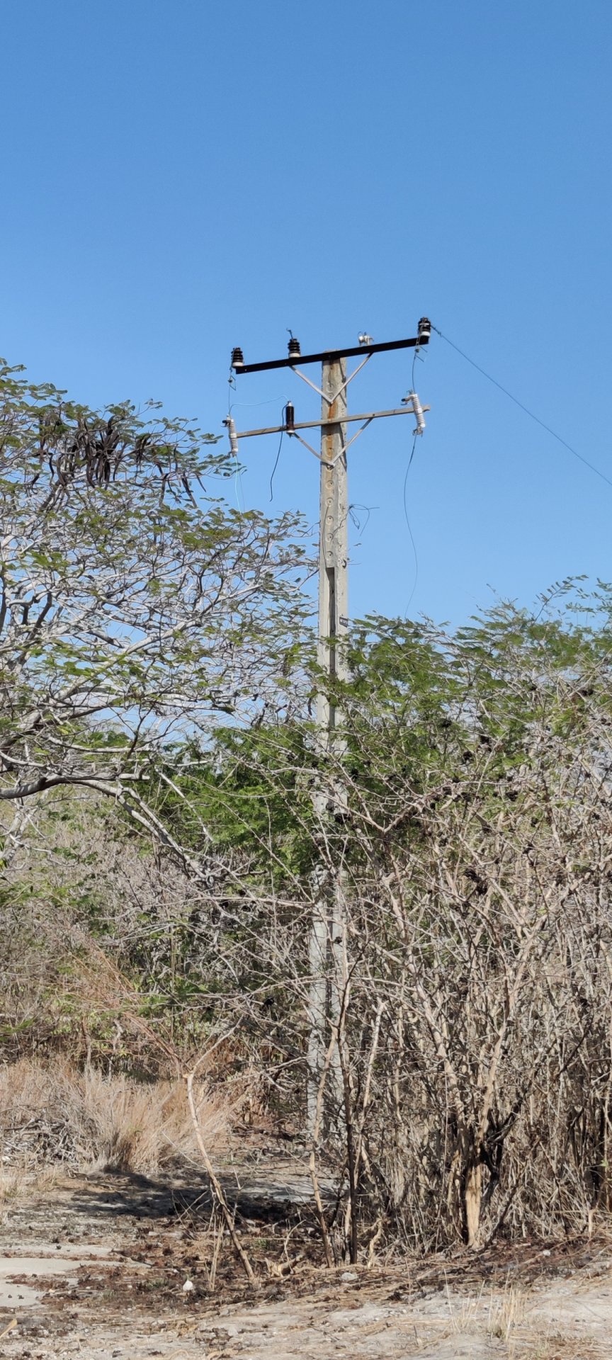 Click to view full size image
==============
Juragua Nuclear Power Plant 2023-21
Keywords: Juragua Juragua Nuclear Power Plant 2023-21
Keywords: Juragua