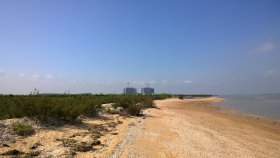 bradwell_bradwell_cockle_spit_panoramio_2.jpg
