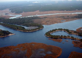 brunswick_1_brunswick_nuclear_plant_discharge_canal.jpg