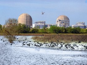 south_texas_1_south_texas_nuclear_generating_station.jpg