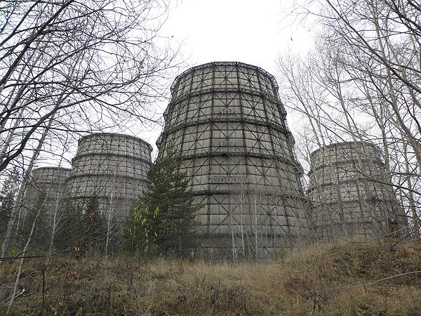 Seversk cooling towers among bare winter trees