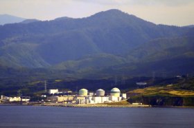 Tomari plant below wooded hills by the water
