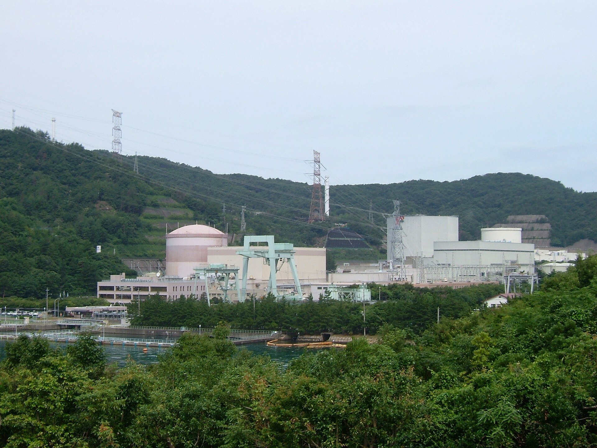 Tsuruga plant nestled among wooded hills